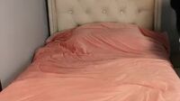 SOFIA SILVA – RICA CHILENA EN VIVO