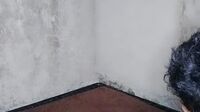 Video Bokep Janda Muda Dipuasin Brondong Bertato