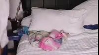 Video Bokep Brondong Vs Tante Pirang