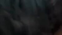 Skandal Abg Alyna 1