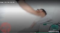 Bokep Ml Tamu Open Bo Di Kosan