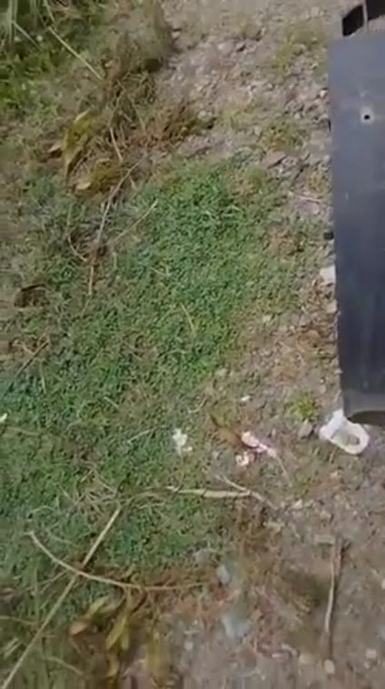 Bokep Indo Prank Becak Motor Full Version