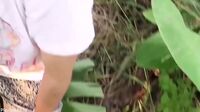 Bokep Indo Play Bokep Croot Di Kebun Pisang Tetangga