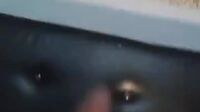 Bokep Live Ria Ngentot 10 Kali Crot