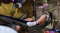 Bokep Om Ngentot Gadis Lokal Di Gubuk With Subtitle English