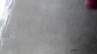 Video Bokep Bocil perawan putih cantik